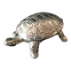 Small turtle mini-lollipops (or other) with pliers