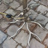 Lampadaire doré