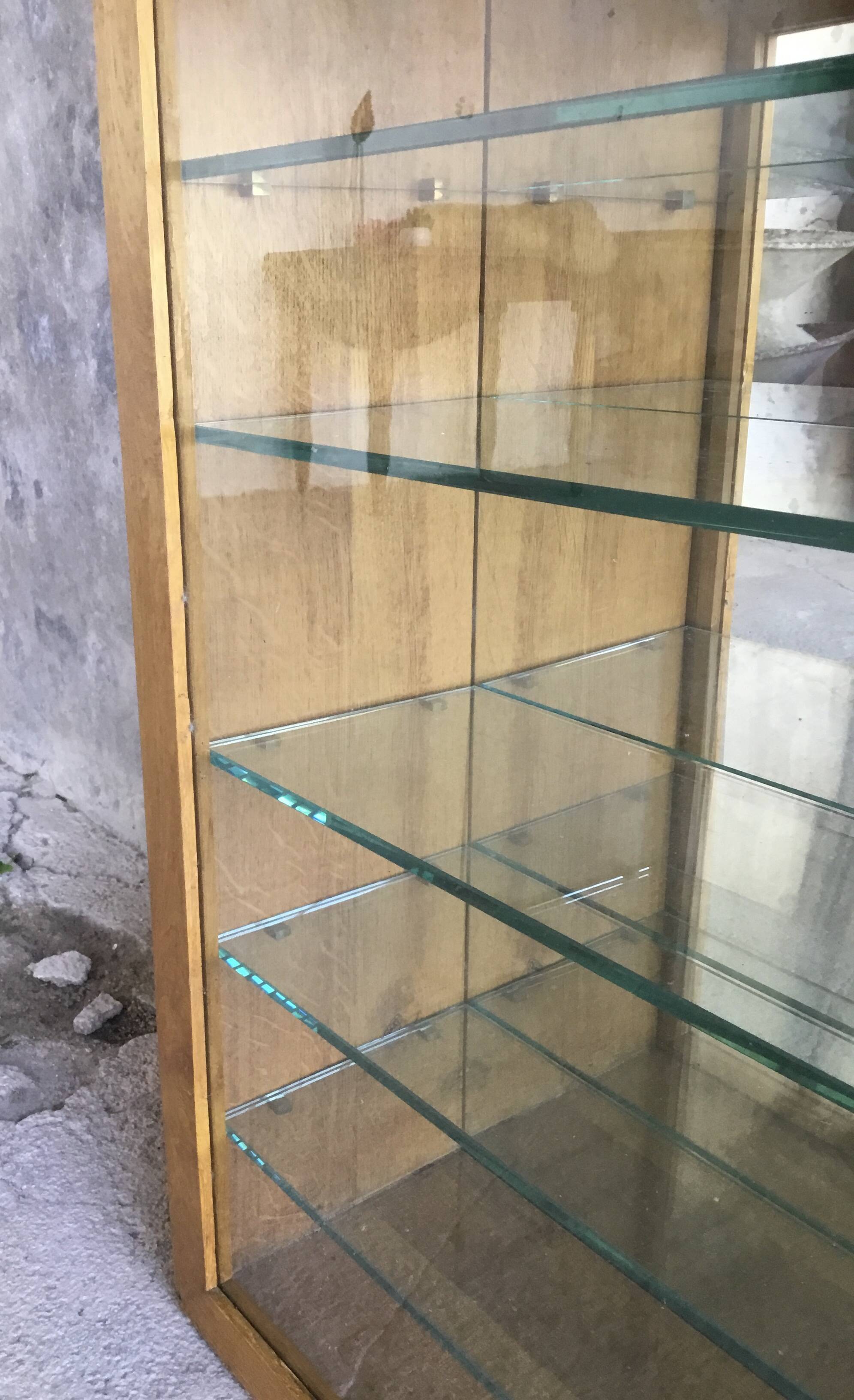 Large pharmacy wall display case in light oak - vintage 1960
