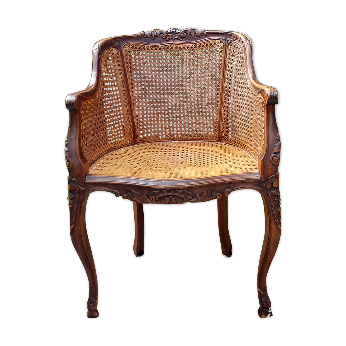 Canna armchair
