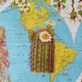 Poster map of the flowers of the world