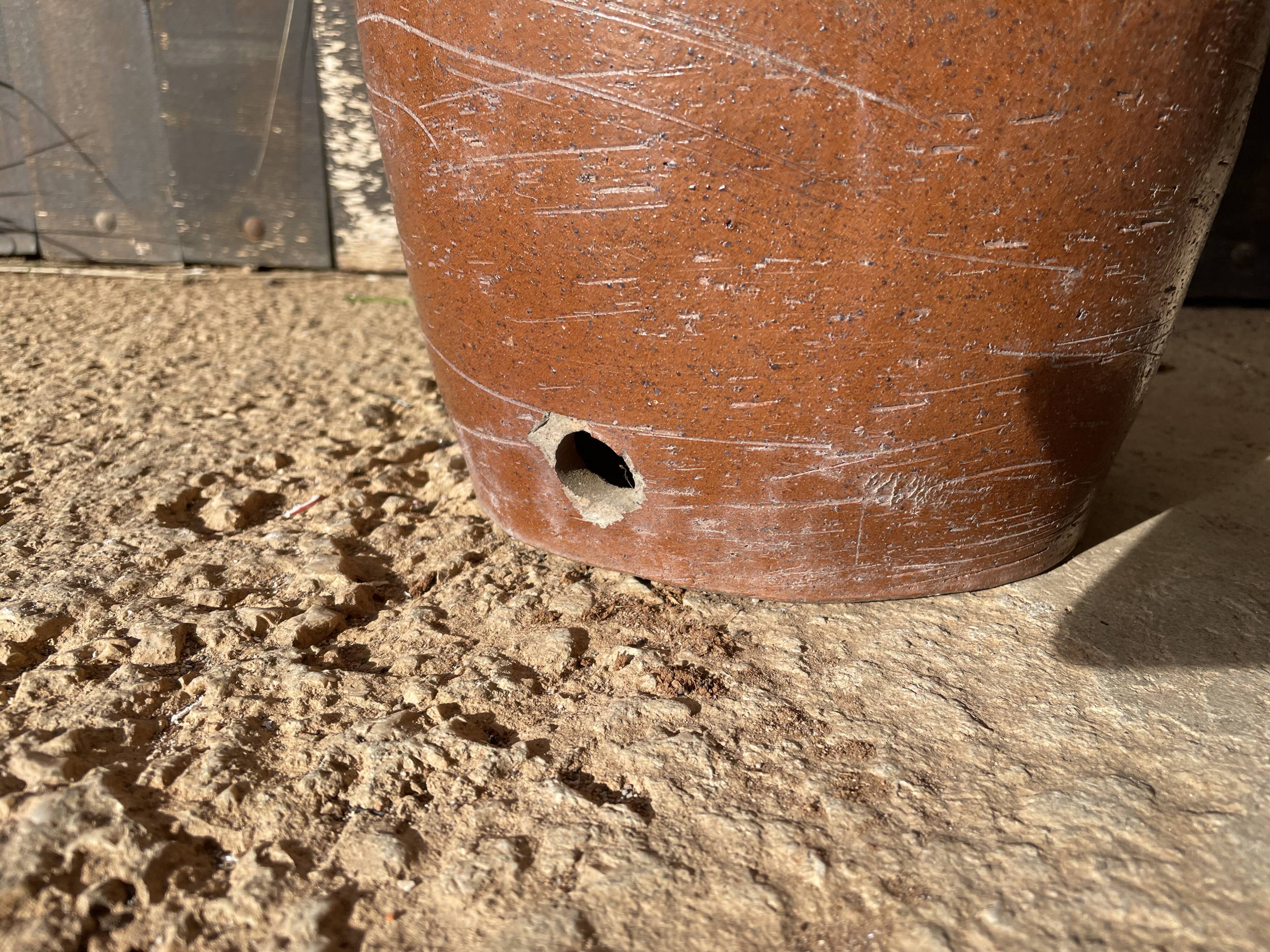 Rare Large sandstone umbrella door
