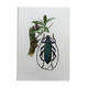 Antique illustration Insects Vintage print 60s