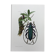 Antique illustration Insects Vintage print 60s