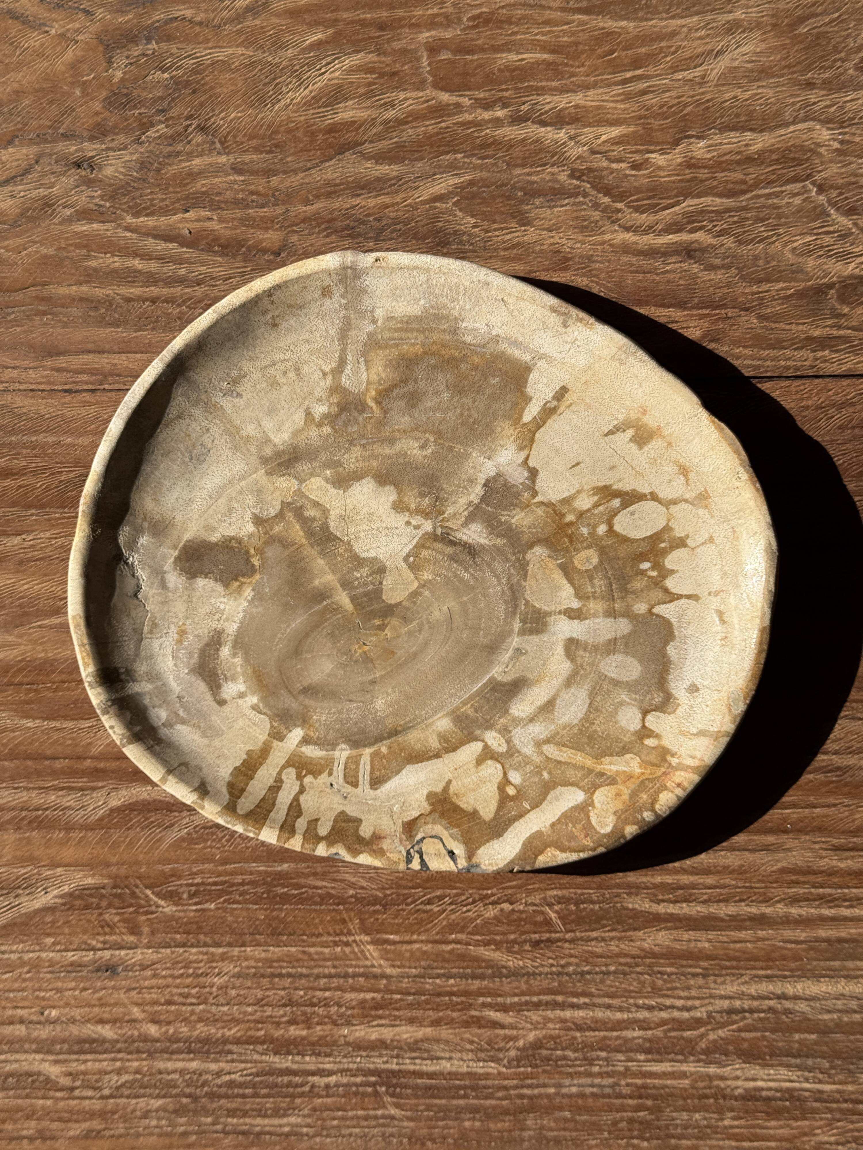 Small pocket tray or dish in speckled beige petrified wood D20 -3309