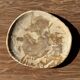 Small pocket tray or dish in speckled beige petrified wood D20 -3309