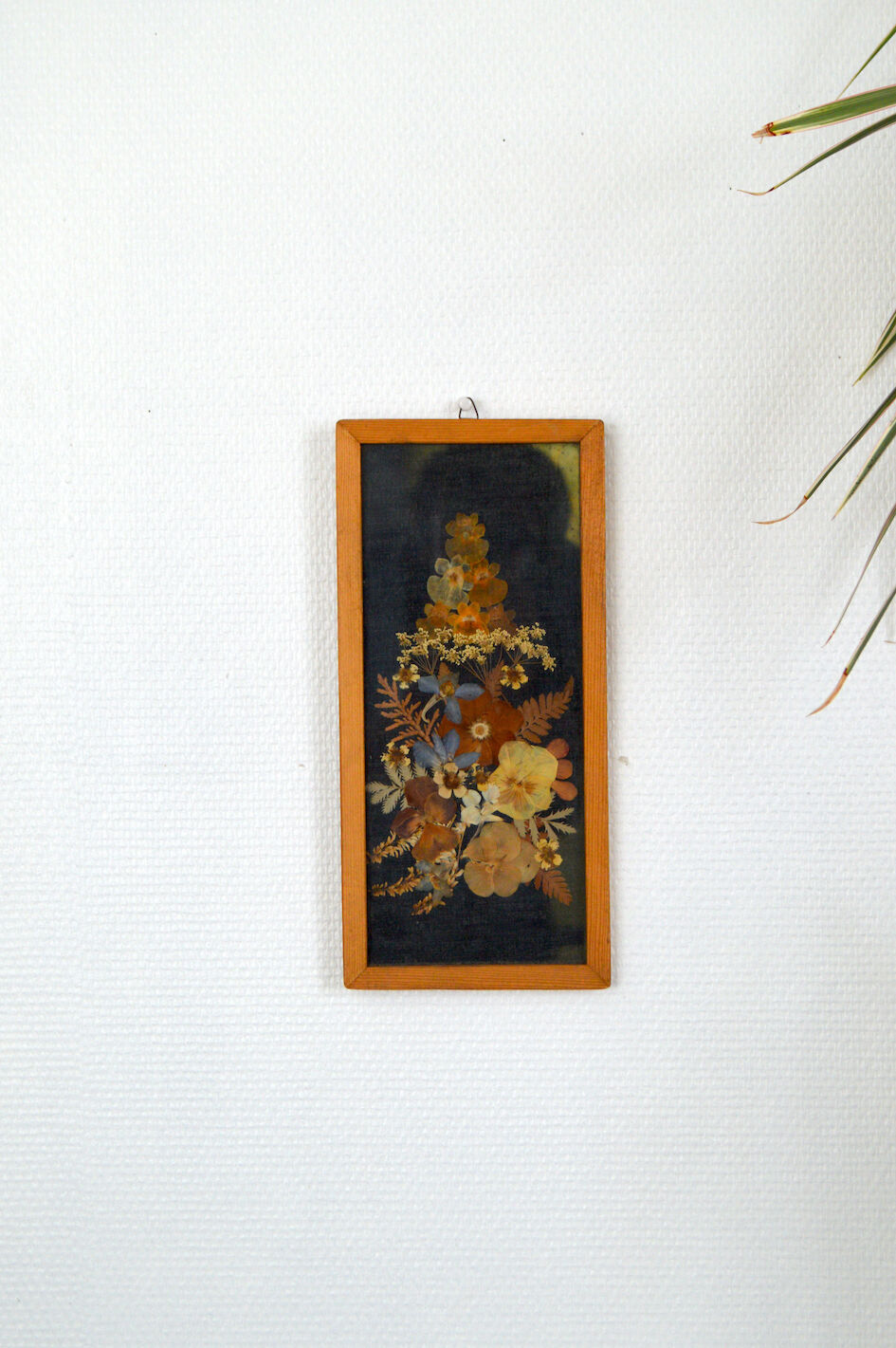 Frame dried flowers