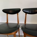 Pair of Baumann unicorn model