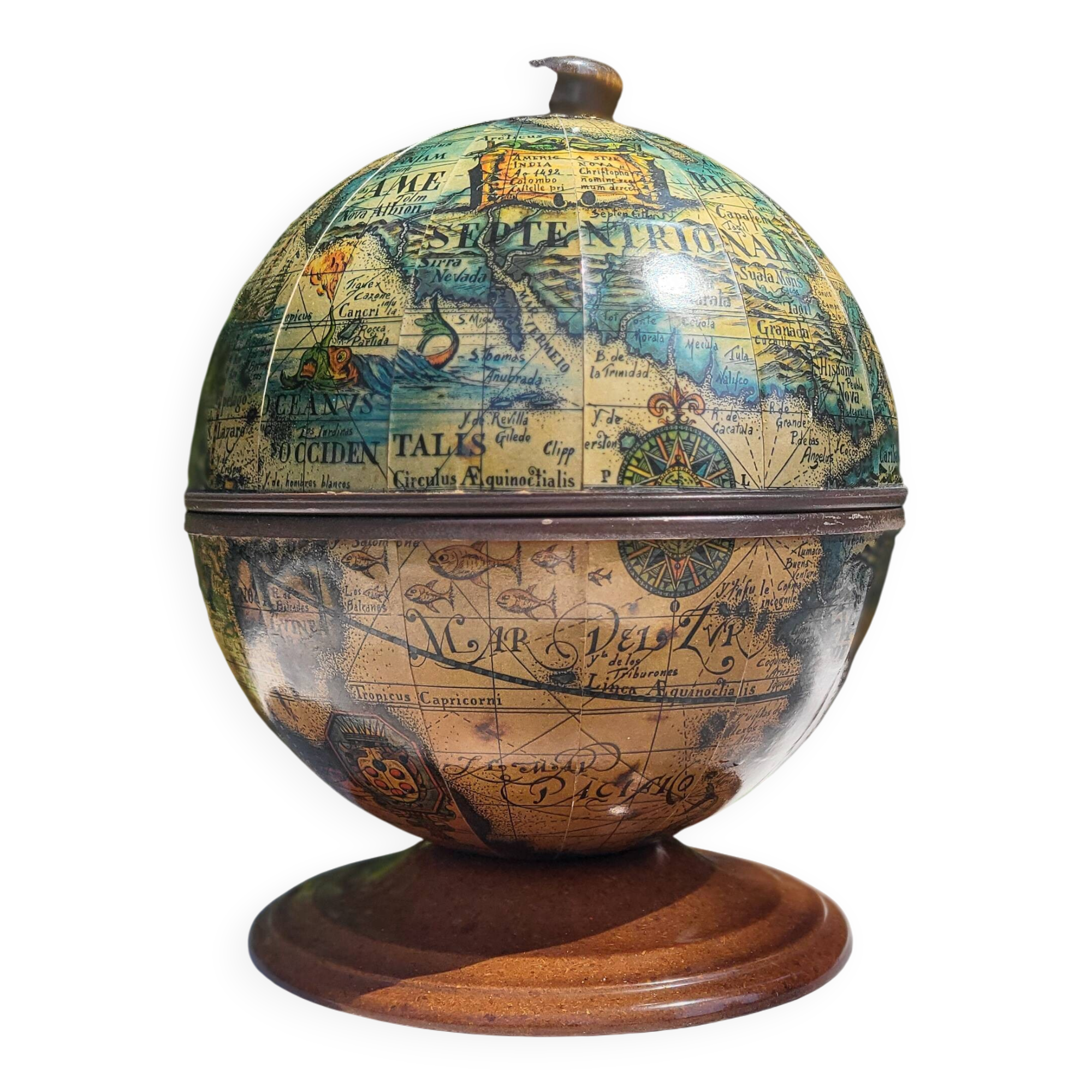 Globe terrestrial ice cubes