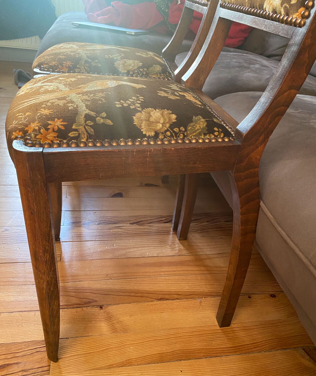 Set de 2 chaises vintage en velours oiseaux 1960-1970, état comme neuf.