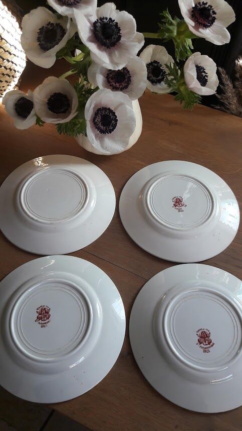 Set of 4 dinner plates Earth iron Iris