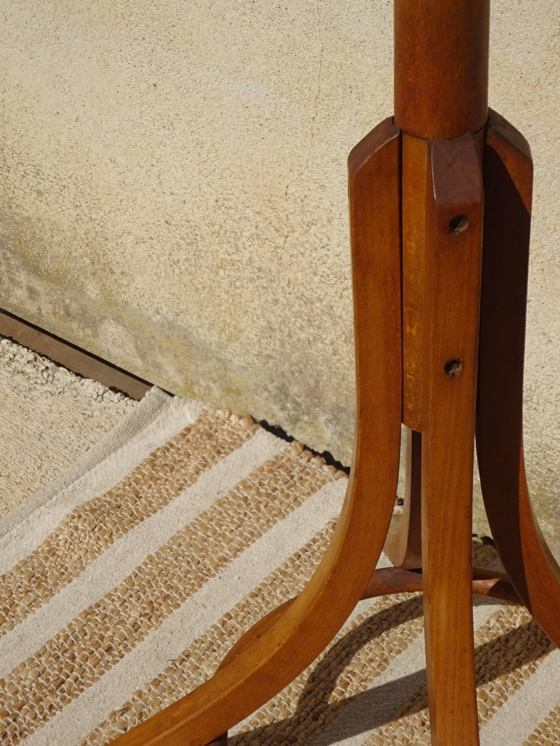 vintage parrot coat rack in bent wood