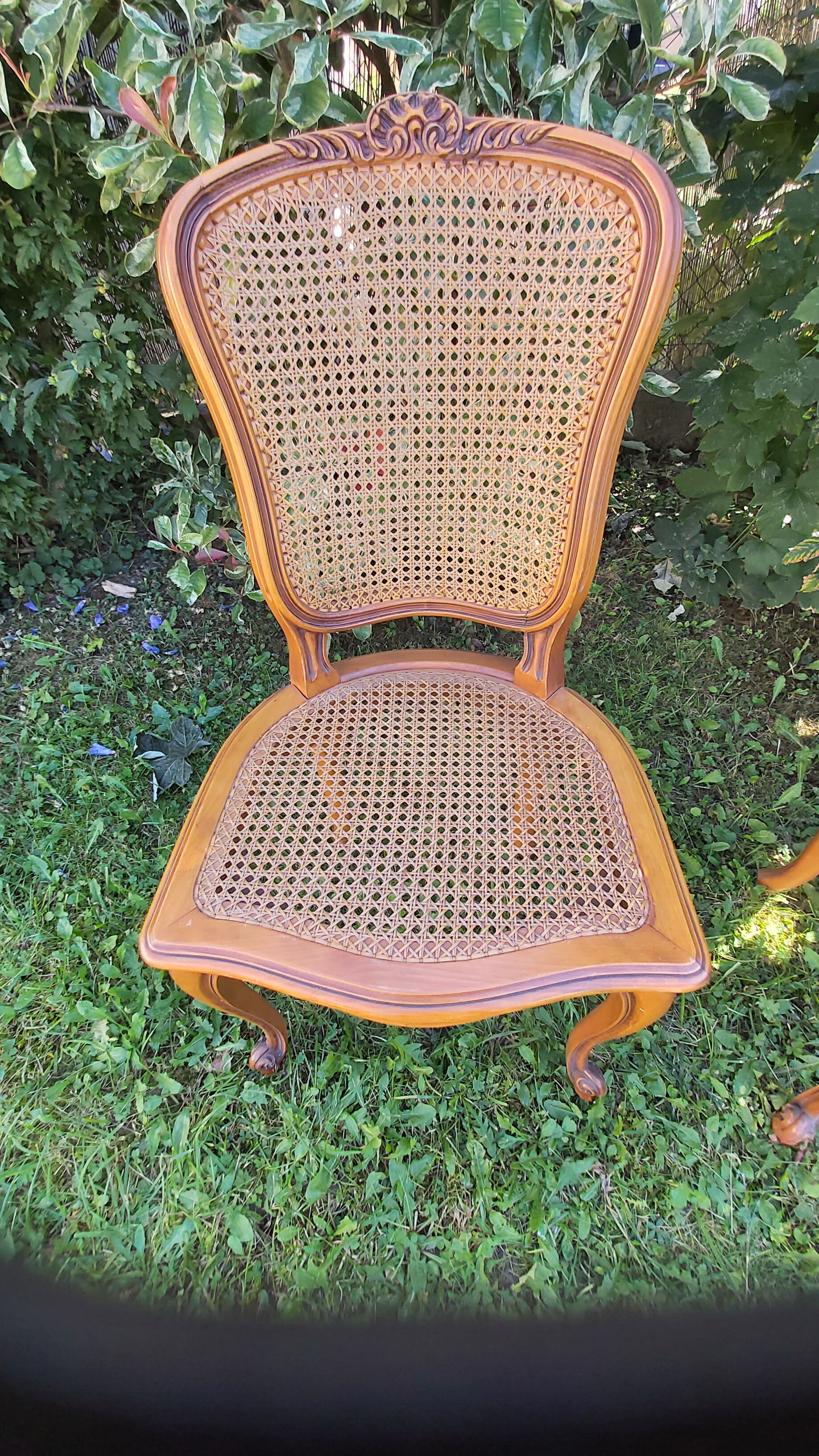 Set of three regency cane chairs