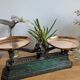 Cast iron scale copper trays