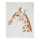 Bestiary plates from the Natural History Museum The giraffe