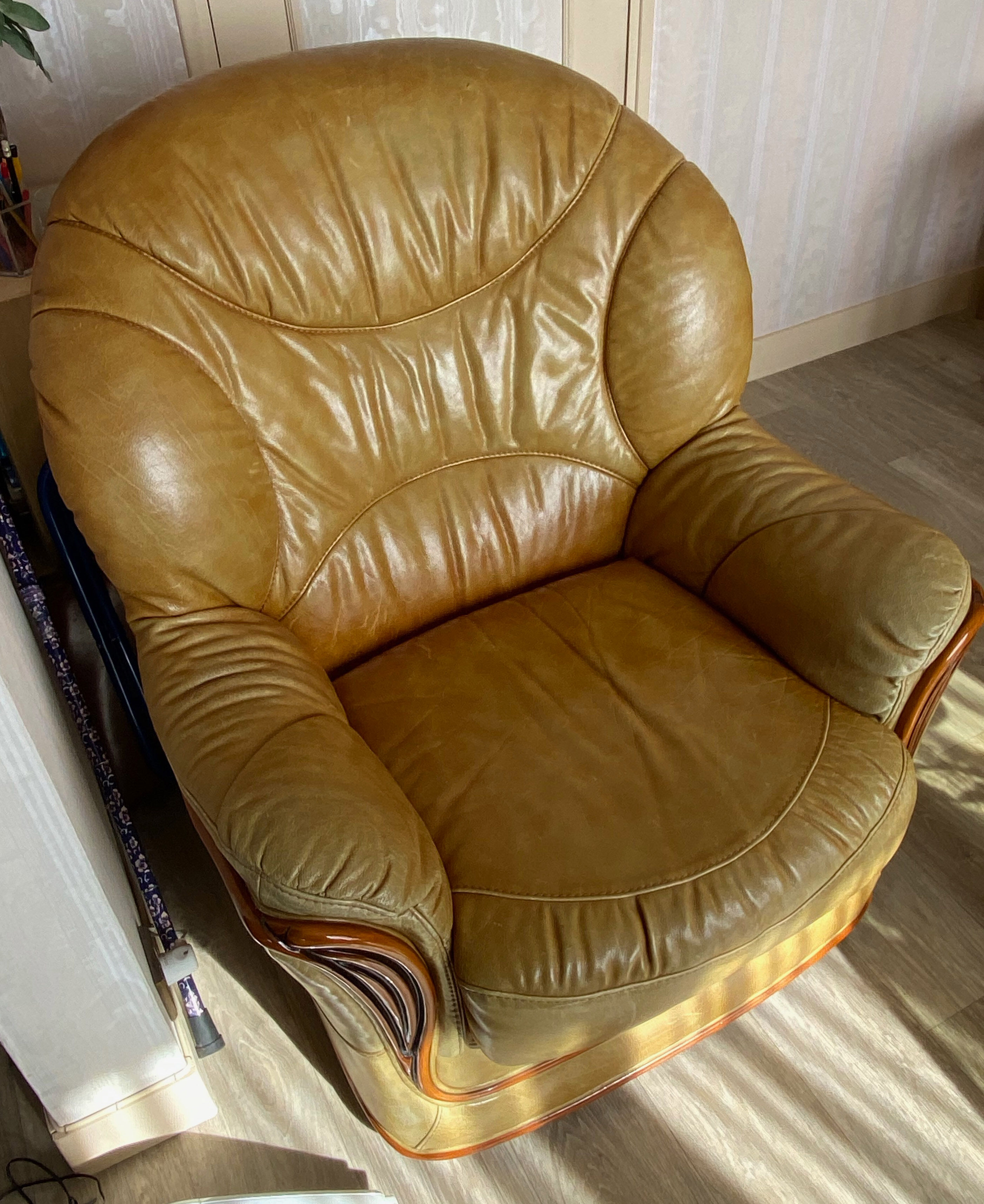Fauteuil cuir salon