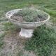 Old planter, pedestal basin by Willy Guhl