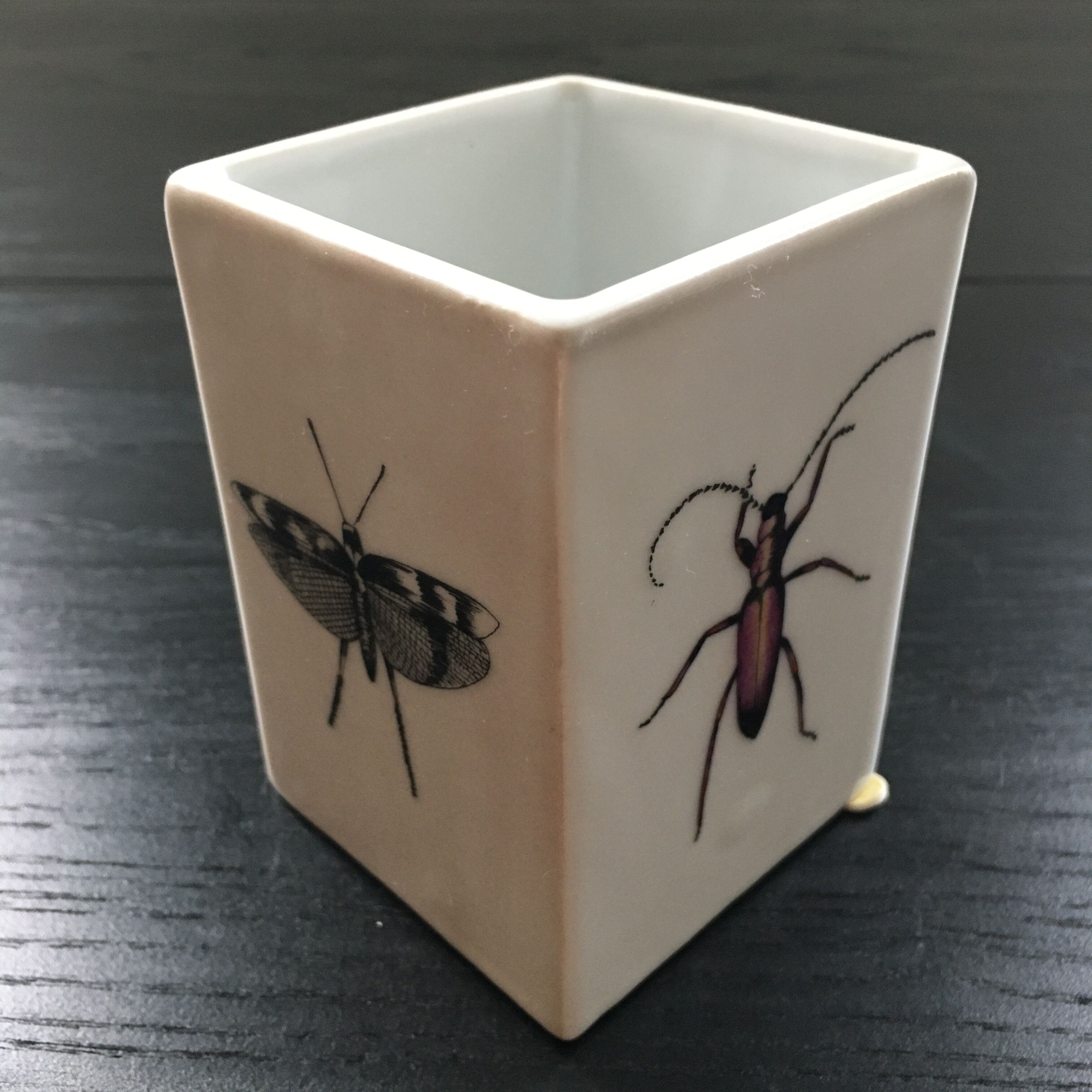 Pencil pot The Prince Gardener