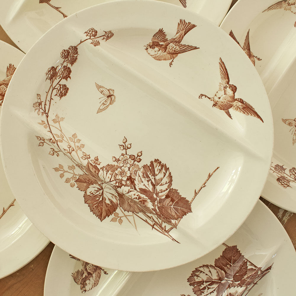 Luneville asparagus service