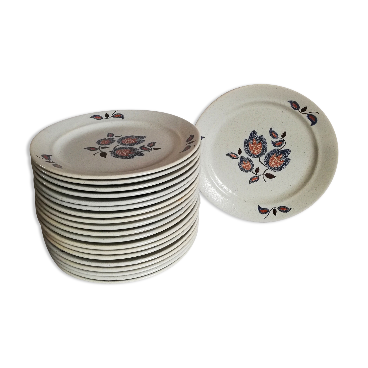 Serving 20 flat plates Sologne de Saint Amand