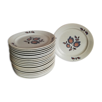 Serving 20 flat plates Sologne de Saint Amand