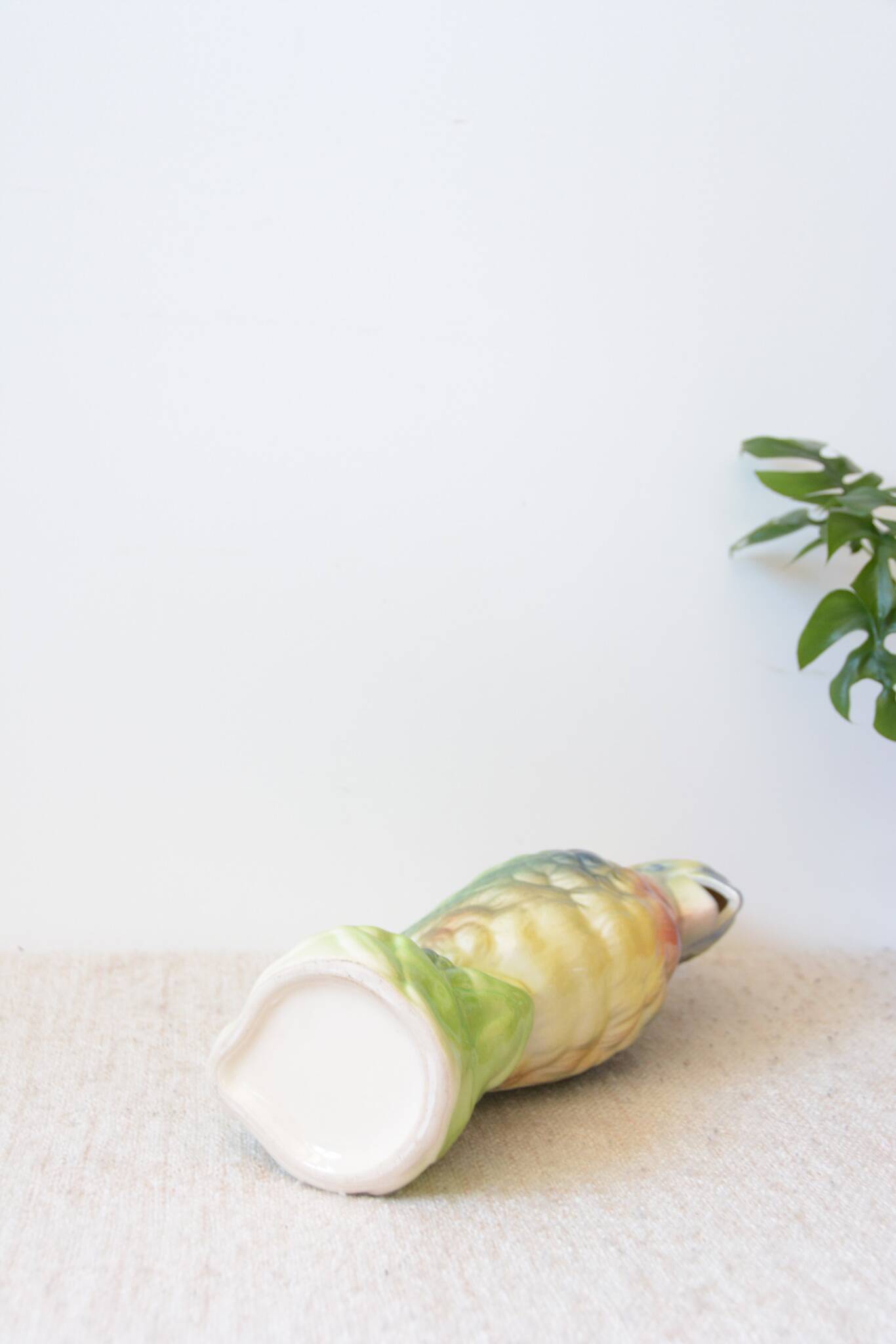 Parrot carafe in earthenware