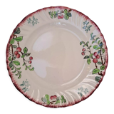 Plat Longwy cerises