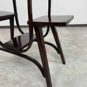 Présentoir pour plantes Jugendstil par Thonet
