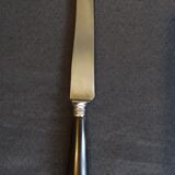 Box of 12 table knives, horn handles