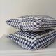 Set of 2 vintage cushions, blue gingham