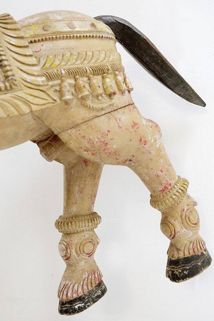 Wooden horse, India
