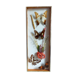 Cadre-vitrine aux papillons et fleurs séchées