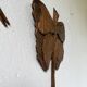 Set of 2 butterfly wall decorations sculptures 1900