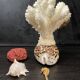 Marine curiosities (coral, seahorses, shells)