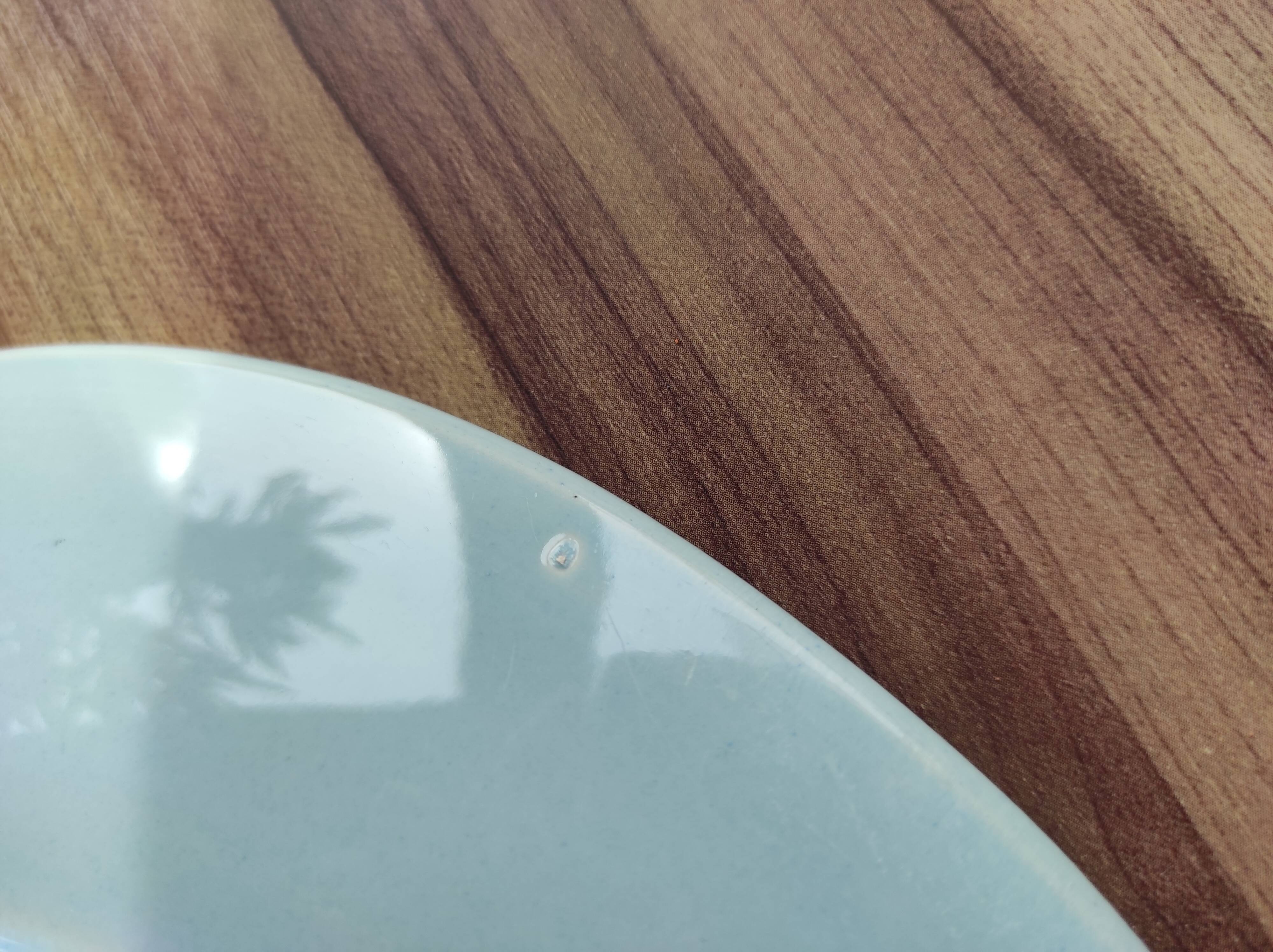 Fish pattern plate Bernard Serraz MBFA Pornic