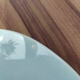 Fish pattern plate Bernard Serraz MBFA Pornic