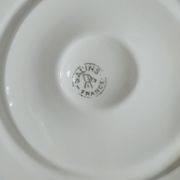 8 oyster plates in slurry by salins