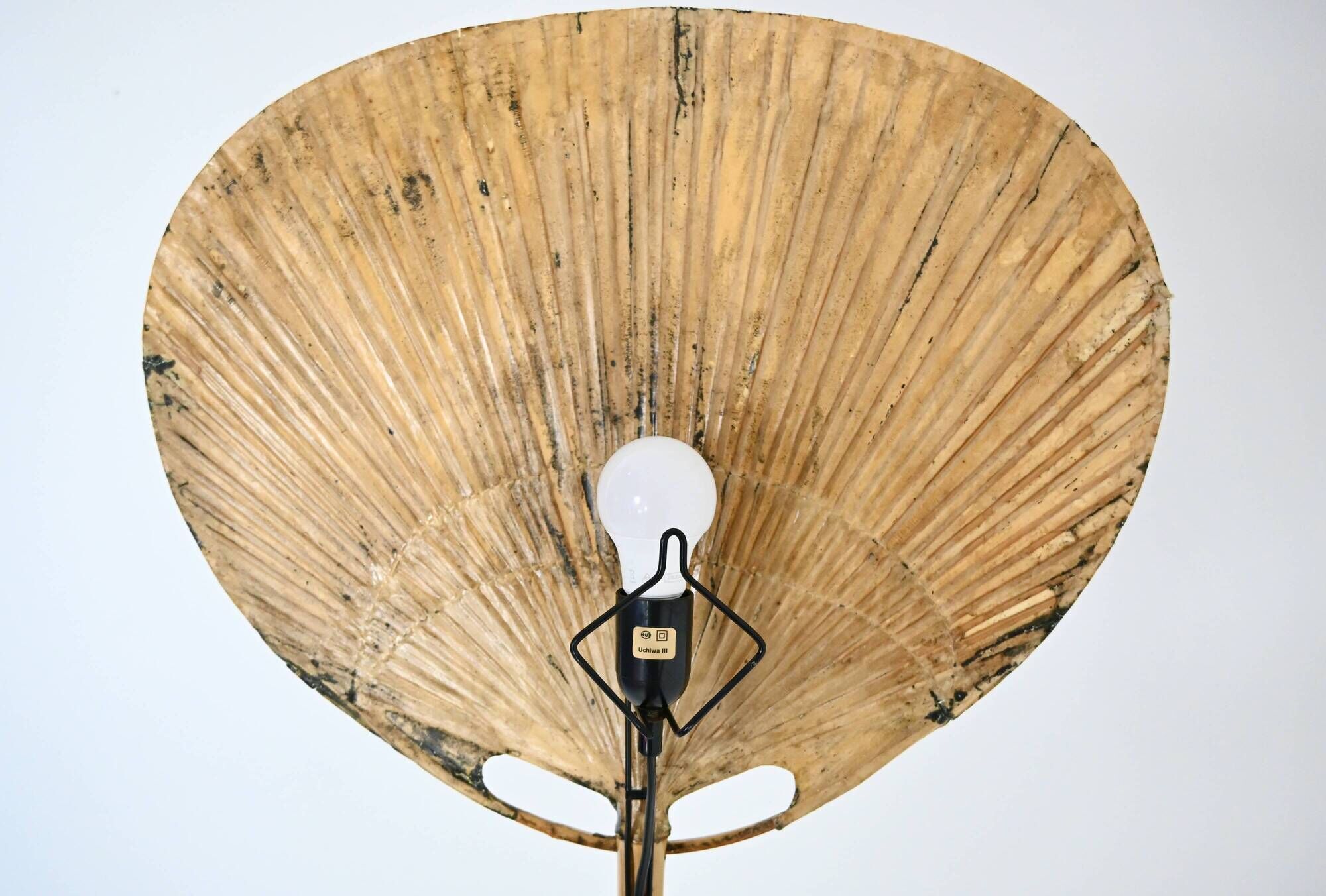 Pair of wall sconces "Uchiwa" by Ingo Maurer for M Design, 1960s