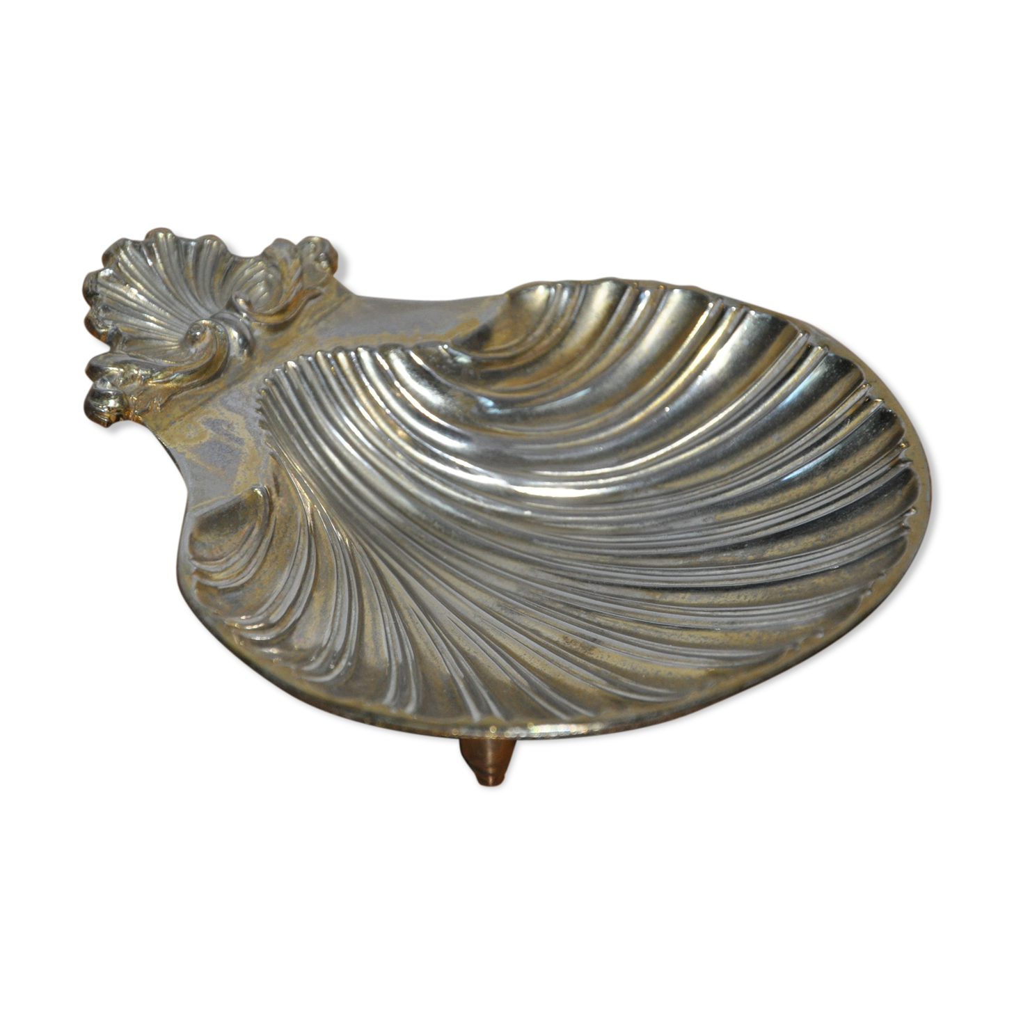 Empty-pocket scallop shell