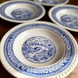 Lot assiettes bleues