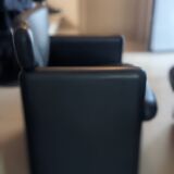 Pair of Tecno 148 leather armchairs