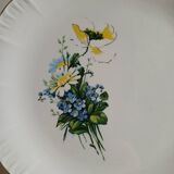 6 antique dessert plates from Digoin and Sarreguemines