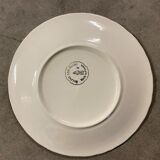 Plate