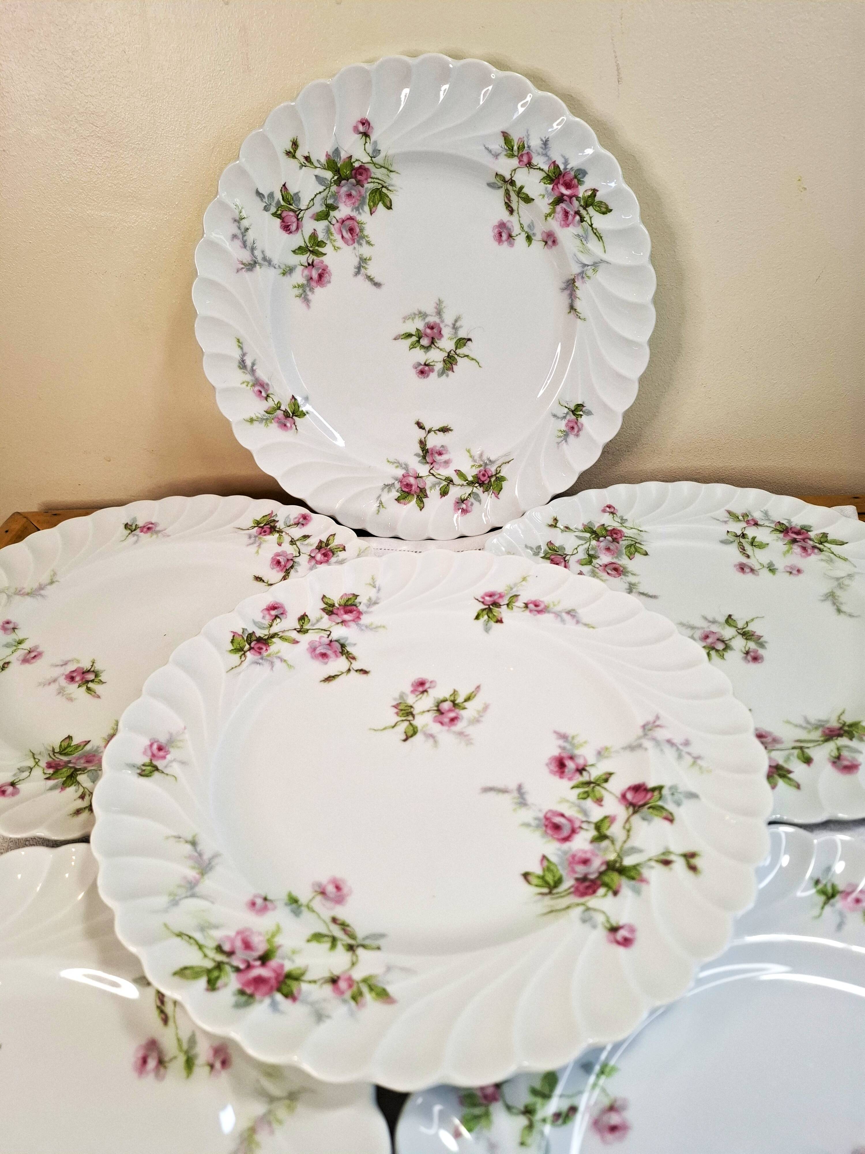 Flat plates in Limoges porcelain by Haviland