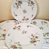 Flat plates in Limoges porcelain by Haviland