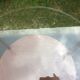 Vintage coffee table round compass legs top in glass and teak wood