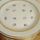 6 Limoges porcelain plates