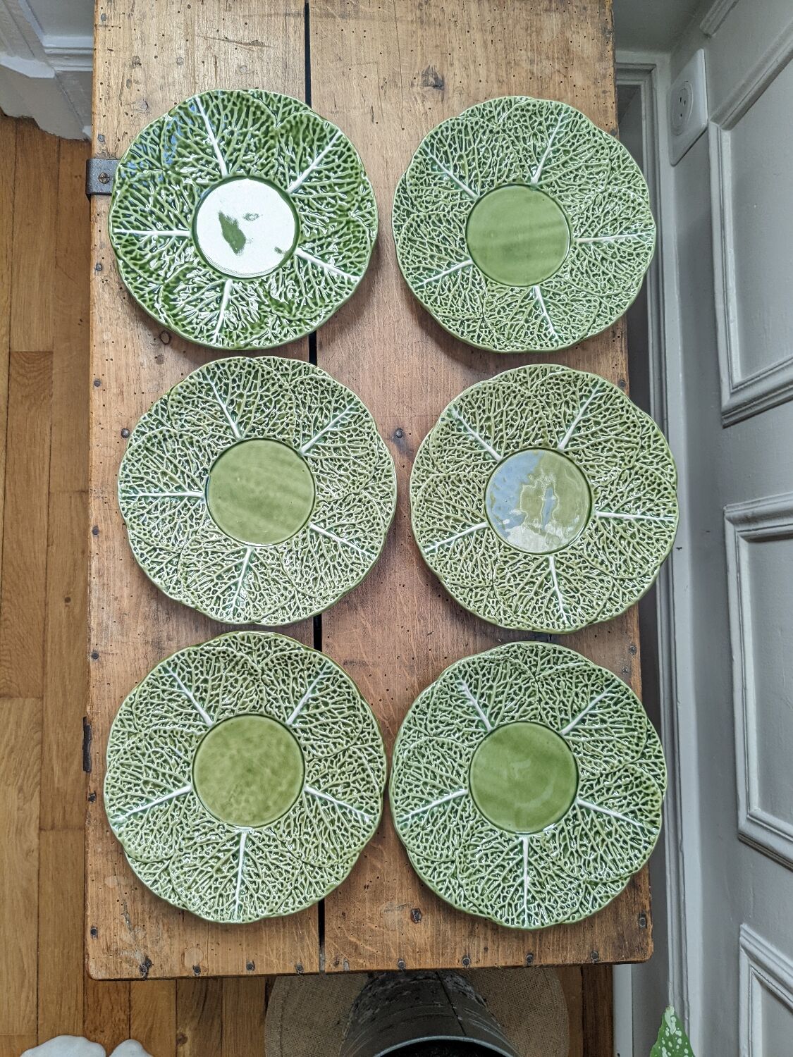 6 cabbage plates