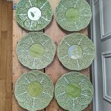 6 cabbage plates