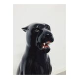 Black Panther Ceramic